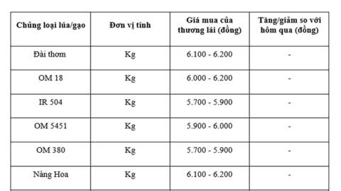 Giá lúa gạo hôm nay ngày 30/7: Gạo xuất khẩu đảo chiều tăng mạnh