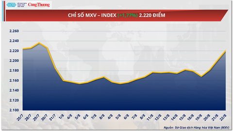 Giá cà phê xuất khẩu tăng gần 16% lên 4.866 USD/tấn, cao nhất 3 tháng