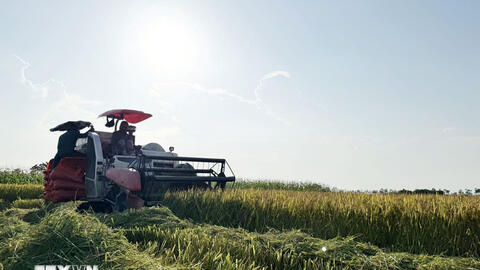 Đòn bẩy đưa nông nghiệp Việt Nam tiến đến hiện đại và xanh hóa