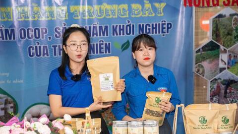 Liên kết chuỗi - Chiến lược tiêu thụ bền vững cho sản phẩm OCOP