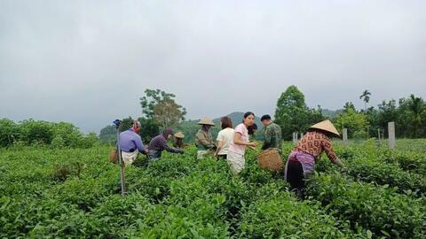 Khi người Việt chọn sống xanh, OCOP cũng cần thay đổi