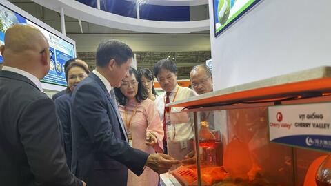 Hơn 300 doanh nghiệp trưng bày tại triển lãm Vietstock 2025