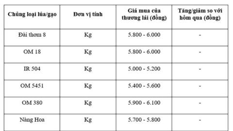 Giá lúa gạo hôm nay ngày 20/10: Gạo nguyên liệu xuất khẩu tăng