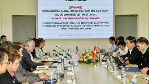Gia Lai – Idaho (Mỹ) hợp tác phát triển bò thịt công nghệ cao
