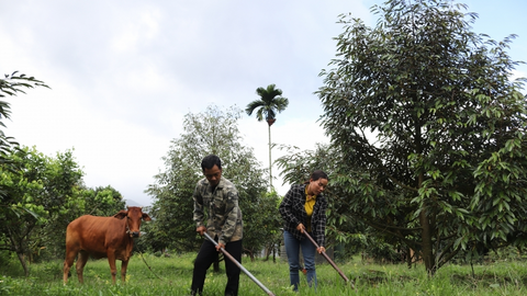 Khánh Hòa: Sắc màu đổi mới từ những nếp nhà Raglai