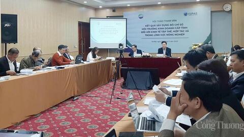 Chưa đến 5% hợp tác xã trực tiếp tham gia xuất khẩu