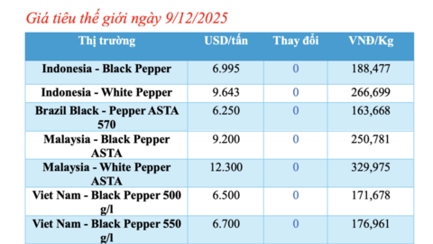 Giá tiêu hôm nay 9/12/2025: Tăng nhẹ vài nơi