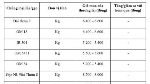 Giá lúa gạo hôm nay ngày 11/12: Thị trường trầm lắng