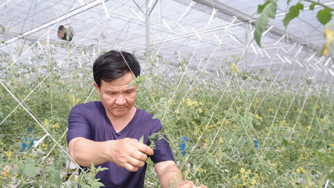 Bảo vệ môi trường trong sản xuất nông nghiệp