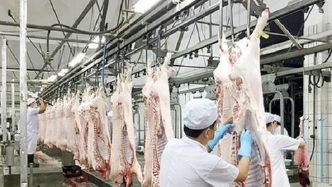 Đồng Nai: Mời gọi đầu tư dự án chăn nuôi, sản xuất, chế biến 30.500 tỷ đồng