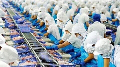 Việt Nam là đối tác cung ứng thủy sản thứ 3 tại thị trường Singapore