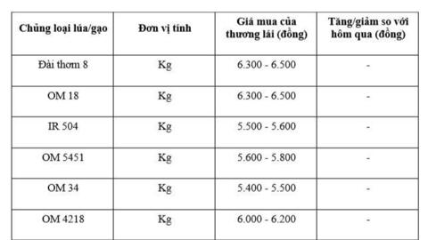 Giá lúa gạo hôm nay ngày 23/1: Gạo thơm dẻo neo cao, lúa chững giá