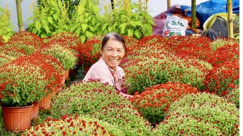 Vĩnh Long: Thị trường hoa kiểng cao điểm, nguồn cung sẵn sàng dịp Tết
