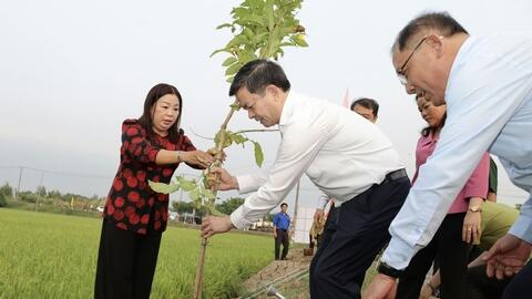 Cần Thơ phát động Tết trồng cây, kỳ vọng vụ lúa Đông Xuân thắng lợi