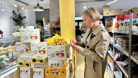 Hội nhập kinh tế 'dẫn đường', mở rộng không gian xuất khẩu