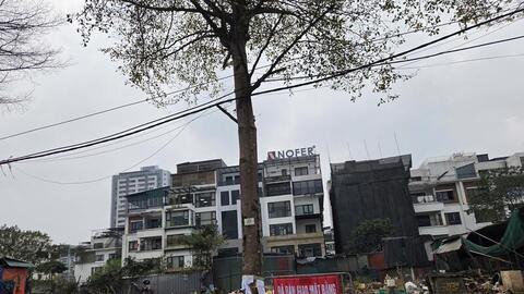 Các cơ sở kinh doanh trên đường Xuân Tảo tự tháo dỡ, bàn giao mặt bằng