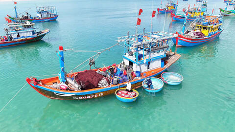Quảng Ngãi: Những chuyến đi biển đầu năm đầy ắp cá, ngư dân phấn khởi