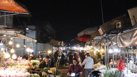 Hà Nội: Chợ hoa Quảng An nhộn nhịp, giá tăng cao dịp 8/3