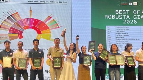 Nâng tầm giá trị cà phê Robusta Gia Lai