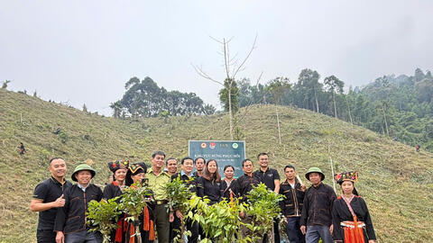 Sùng A Cải: Từ trồng rừng đến tạo sinh kế cho người dân vùng cao