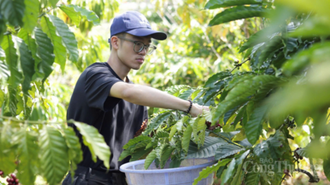 Thái Nguyên ‘nâng tầm’ sản phẩm công nghiệp nông thôn