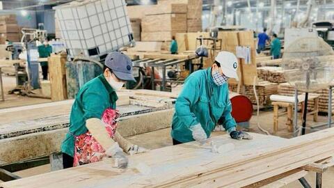 Ngành gỗ Gia Lai: Vượt thách thức, tăng trưởng ấn tượng