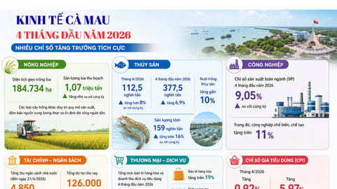 Cà Mau: Thủy sản, công nghiệp và thương mại duy trì đà tăng trưởng