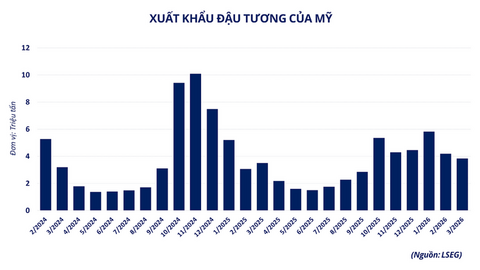 Giá ca cao tăng phiên thứ 8 liên tiếp
