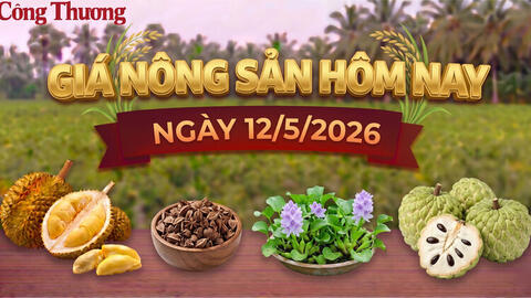Giá nông sản hôm nay ngày 12/5: Nhiều mặt hàng giữ giá cao