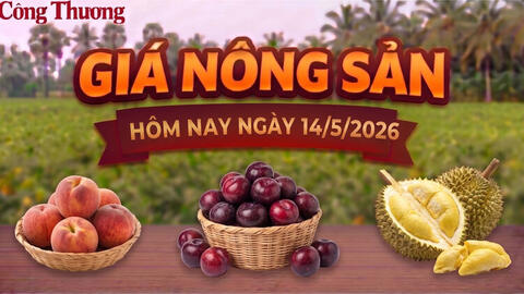 Giá nông sản hôm nay ngày 13/5: Tăng, giảm trái chiều
