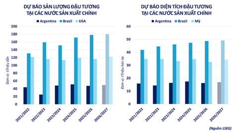 Giá đậu tương thế giới quay trở lại sắc đỏ