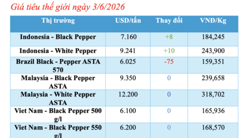 Giá tiêu hôm nay 3/6/2026: Dao động từ 136.000 - 139.000 đồng/kg