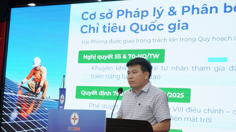 Điện lực Hải Phòng thúc đẩy phát triển điện mặt trời mái nhà