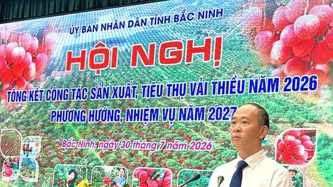 Hơn 100 tấn vải thiều được tiêu thụ qua các sàn thương mại điện tử