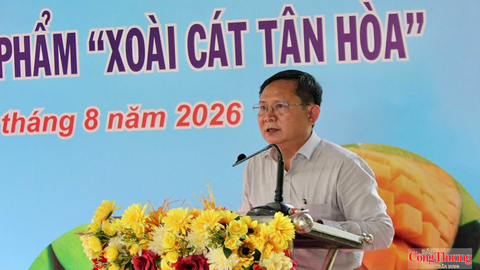 Cần Thơ: Xoài cát Tân Hòa hướng tới xây dựng thương hiệu, mở rộng thị trường