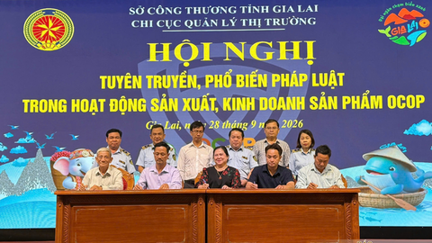 Gia Lai: Nâng cao kiến thức pháp luật cho các chủ thể OCOP