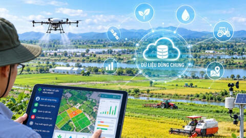 Khơi thông nguồn lực phát triển nông nghiệp từ dữ liệu dùng chung