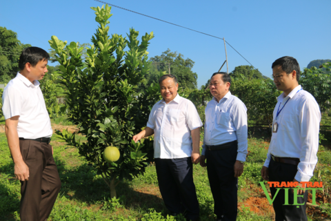 Trung ương Hội Nông dân Việt Nam: Bàn giao tài sản  Trung tâm Dạy nghề và Hỗ trợ nông dân cho Sơn La