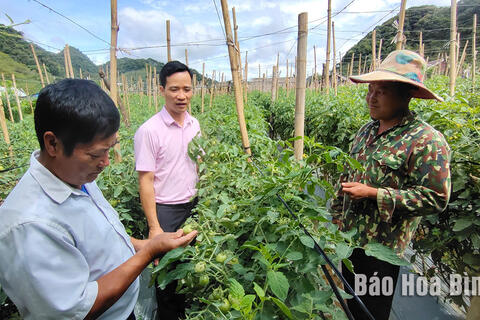 Vốn chính sách tạo đà cho thanh niên Mai Châu khởi nghiệp