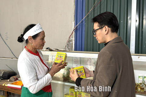 Xây dựng chuỗi giá trị, nâng tầm nông sản thành phố Hòa Bình