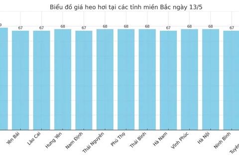 Giá heo hơi hôm nay 13/5/2025: Miền Bắc quay đầu tăng nhẹ