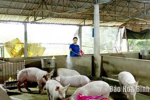 Kiểm soát dịch bệnh trên đàn vật nuôi