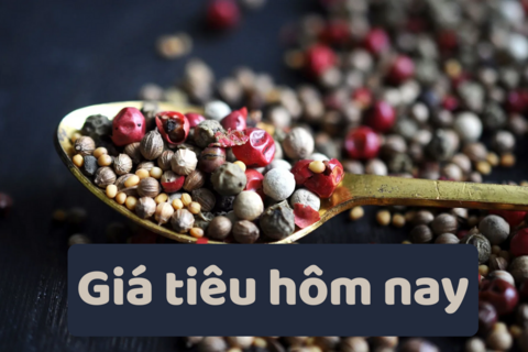 Giá tiêu hôm nay 1/7/2025: trong nước lấy lại đà tăng cao