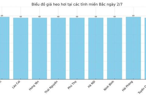 Giá heo hơi hôm nay 2/7/2025: Giảm đồng loạt trên toàn quốc