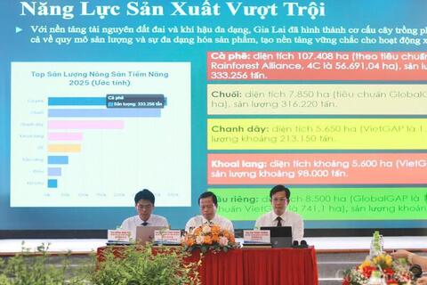 Cơ hội lớn cho nông sản Gia Lai tại thị trường Trung Quốc