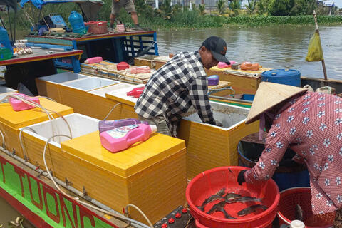 Thủy sản mùa nước nổi chưa nhiều