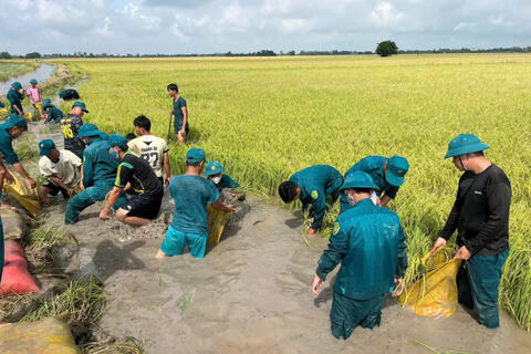 Xã Hưng Điền huy động lực lượng giúp dân cứu lúa