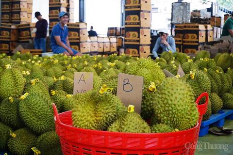 Truy xuất nguồn gốc đưa nông sản Đắk Lắk vươn ra thế giới - Bài 1: Minh bạch xuất xứ từ câu chuyện sầu riêng