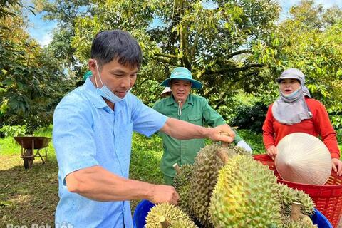 Xã Pơng Drang: Tăng tốc xây dựng nông thôn mới nâng cao