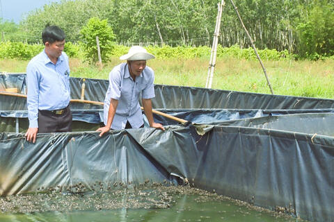 Nông dân Lộc Ninh đổi mới tư duy, nâng cao hiệu quả sản xuất